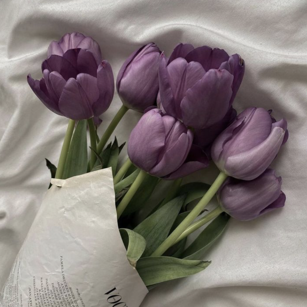 Screenshot_2024 05 15_at_2